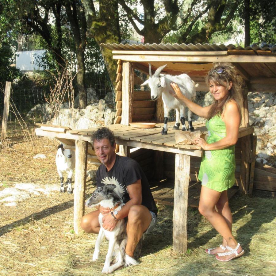 Bed and Breakfast L'Apogee Labeaume Zewnętrze zdjęcie